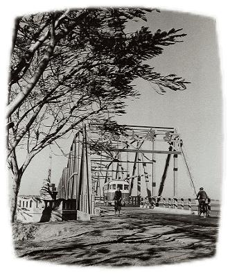 被压迫被奴役的悲惨命运,被压迫百年的美国人