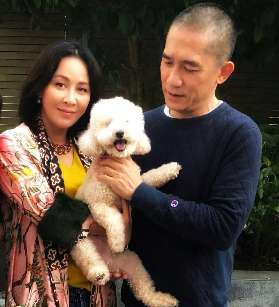 明星丁克家庭的夫妻有哪些,丁克一族的香港明星夫妻