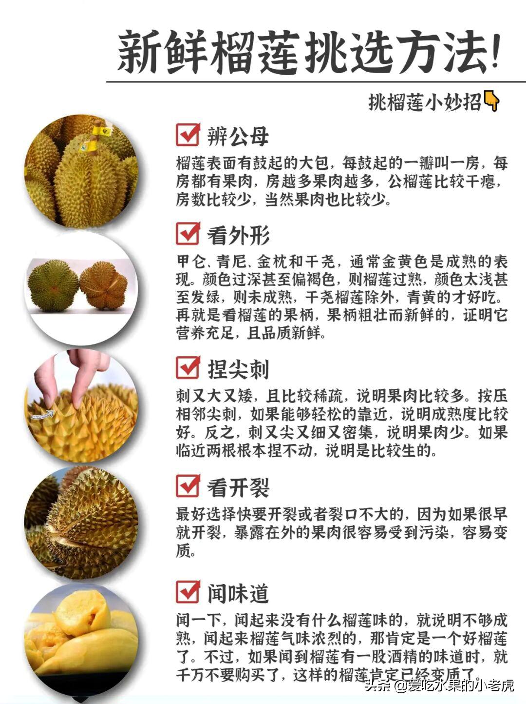 榴莲水果哪个品种最好吃,水果的知识小学生