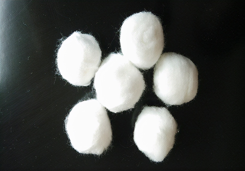 经验分享：狗狗有个伤口化脓怎么办？狗狗受伤后如何处理恢复快？