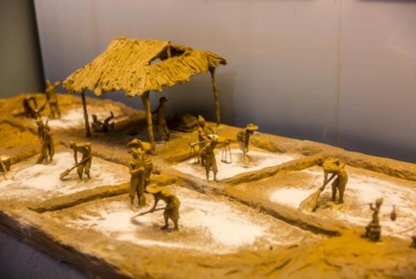 为什么古代的盐非常重要,古代盐那么贵为什么不烧海水