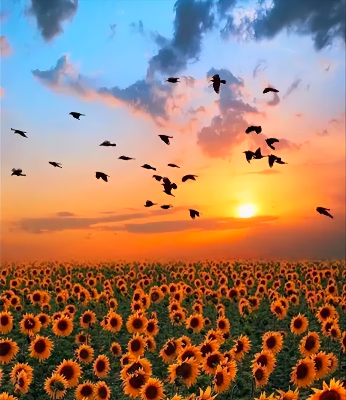 走出事业低谷,人在年轻时怎样走出事业感情低谷