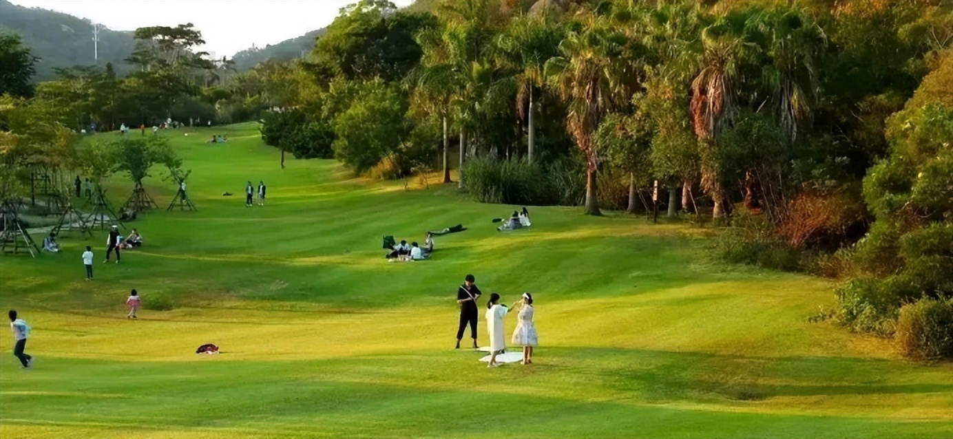 厦门粤港澳大湾区,厦门香港区