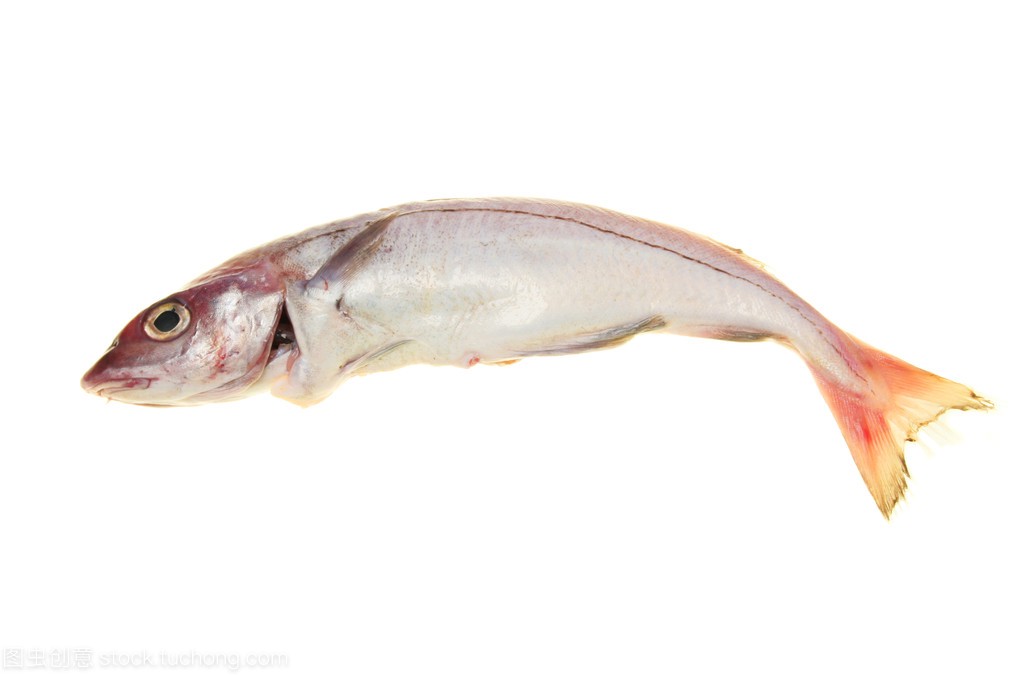 英国超市美食排行榜,英国超市常见的鱼