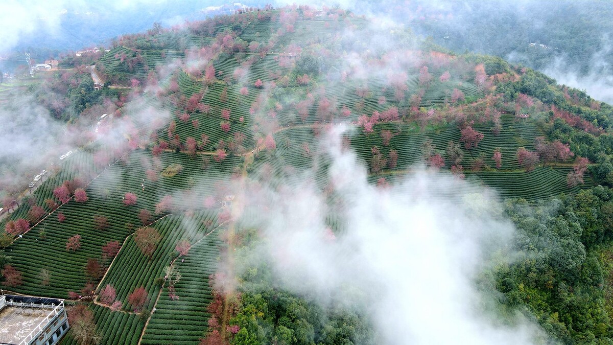 春节去云南哪里游玩有特色,春节除了云南还有哪里好耍