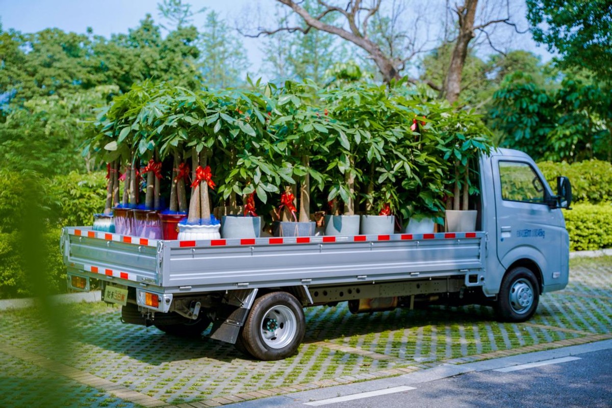 龙卡五菱跟跨越者对比,五菱龙卡对比长安跨越王d5载重