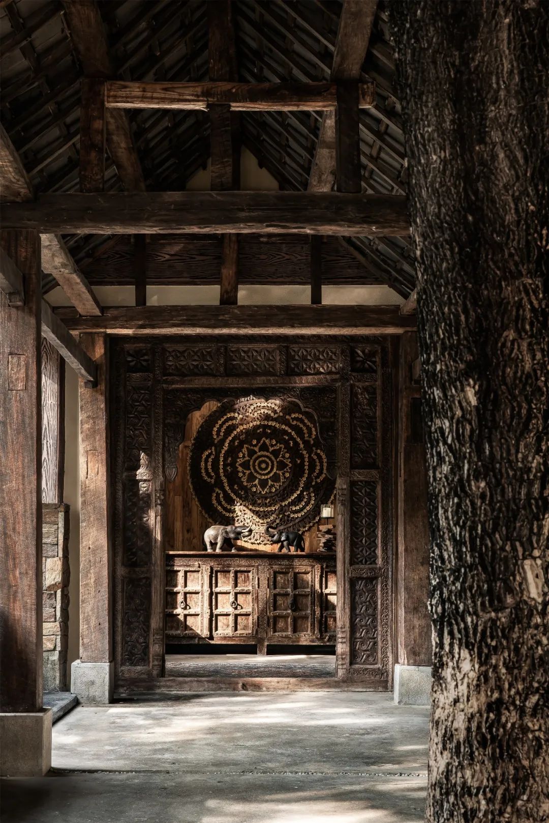 西双版纳旅游攻略两分钟视频,西双版纳旅游攻略摄影