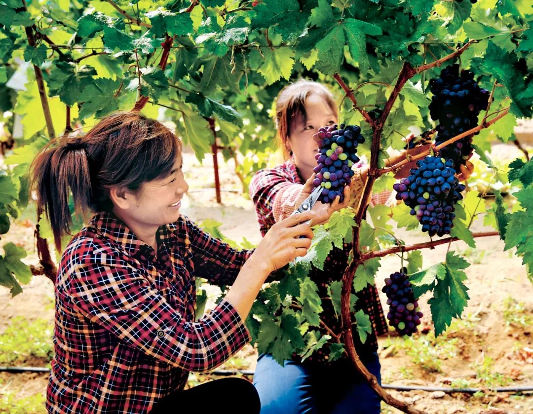 乌海繁华城市中心位置,乌海这个城市有前途吗