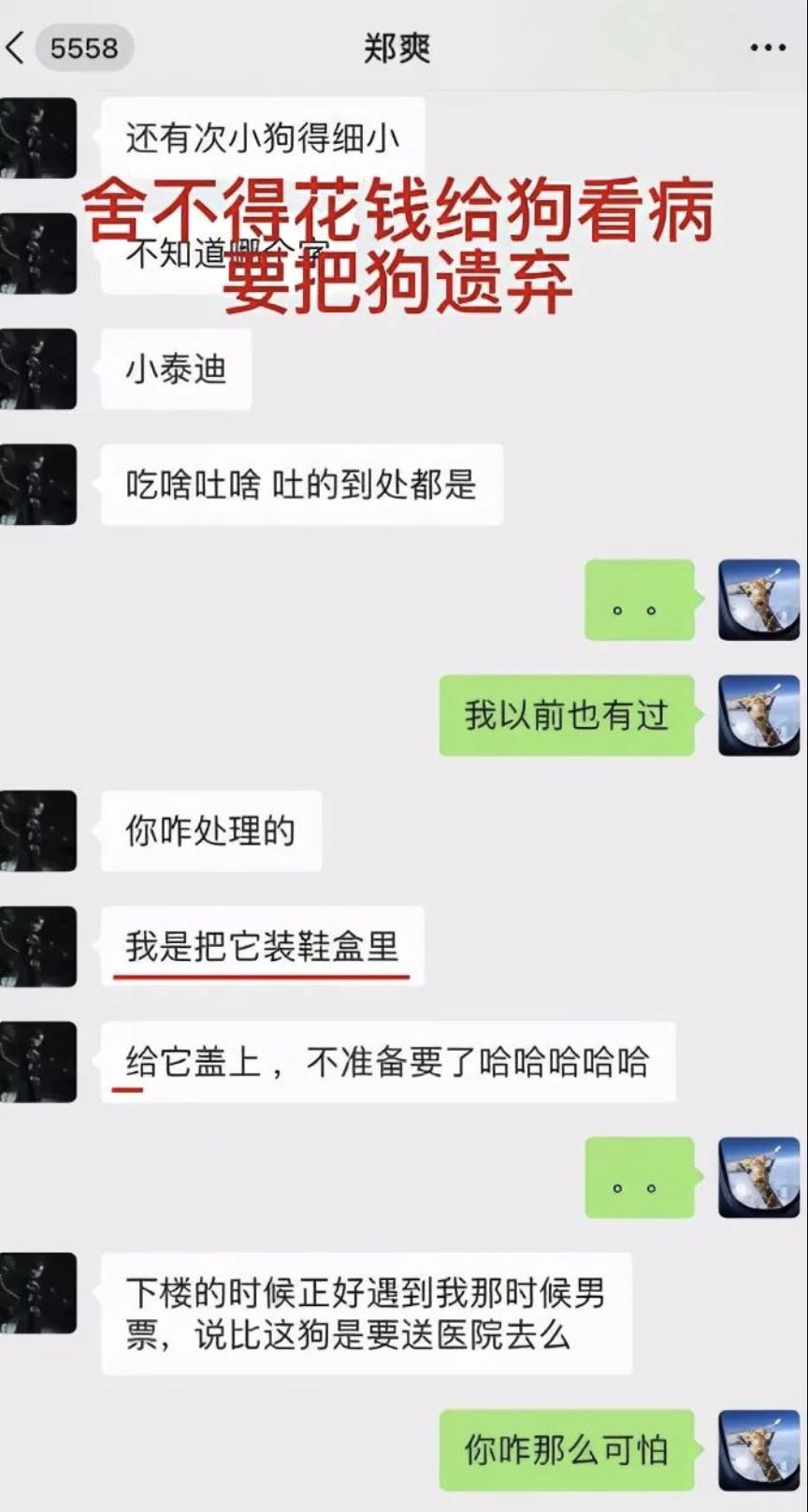 这一次，31岁的郑爽，终于为“贪得无厌”付出了代价