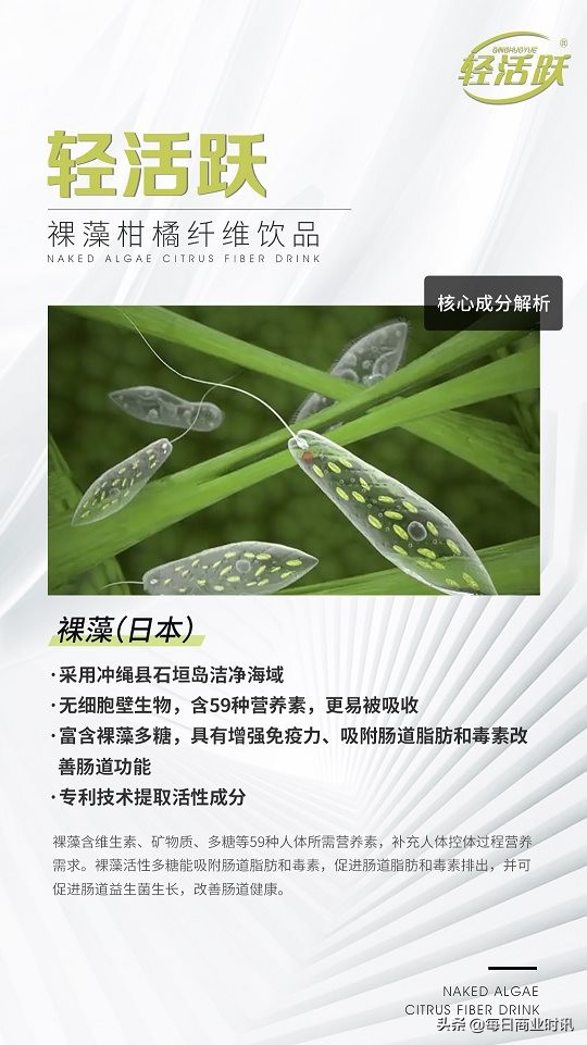 轻活跃燃脂饮,裸藻饮品