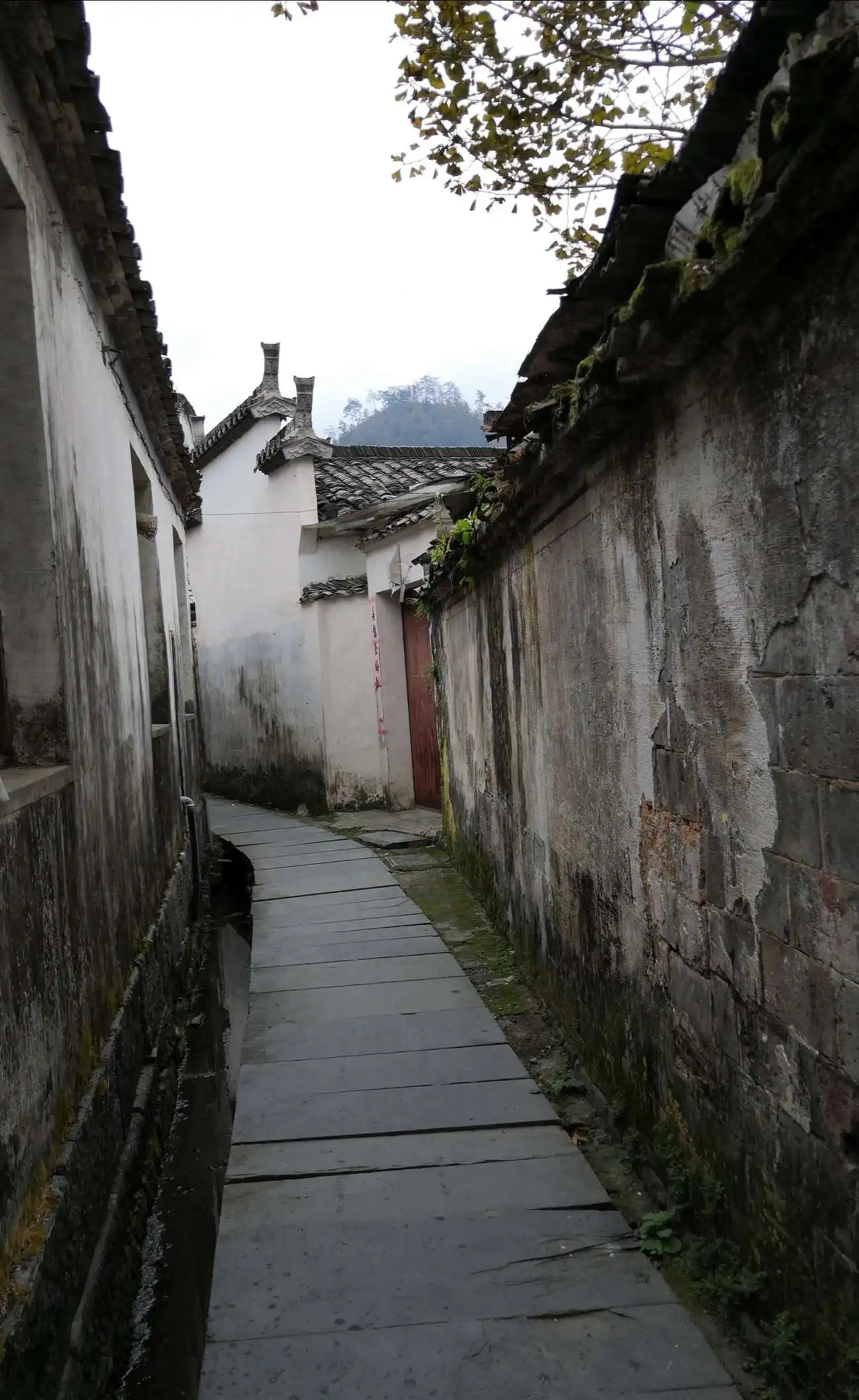 散文欣赏轻语岁月淡看流年,珍惜当下让人安然而静的散文