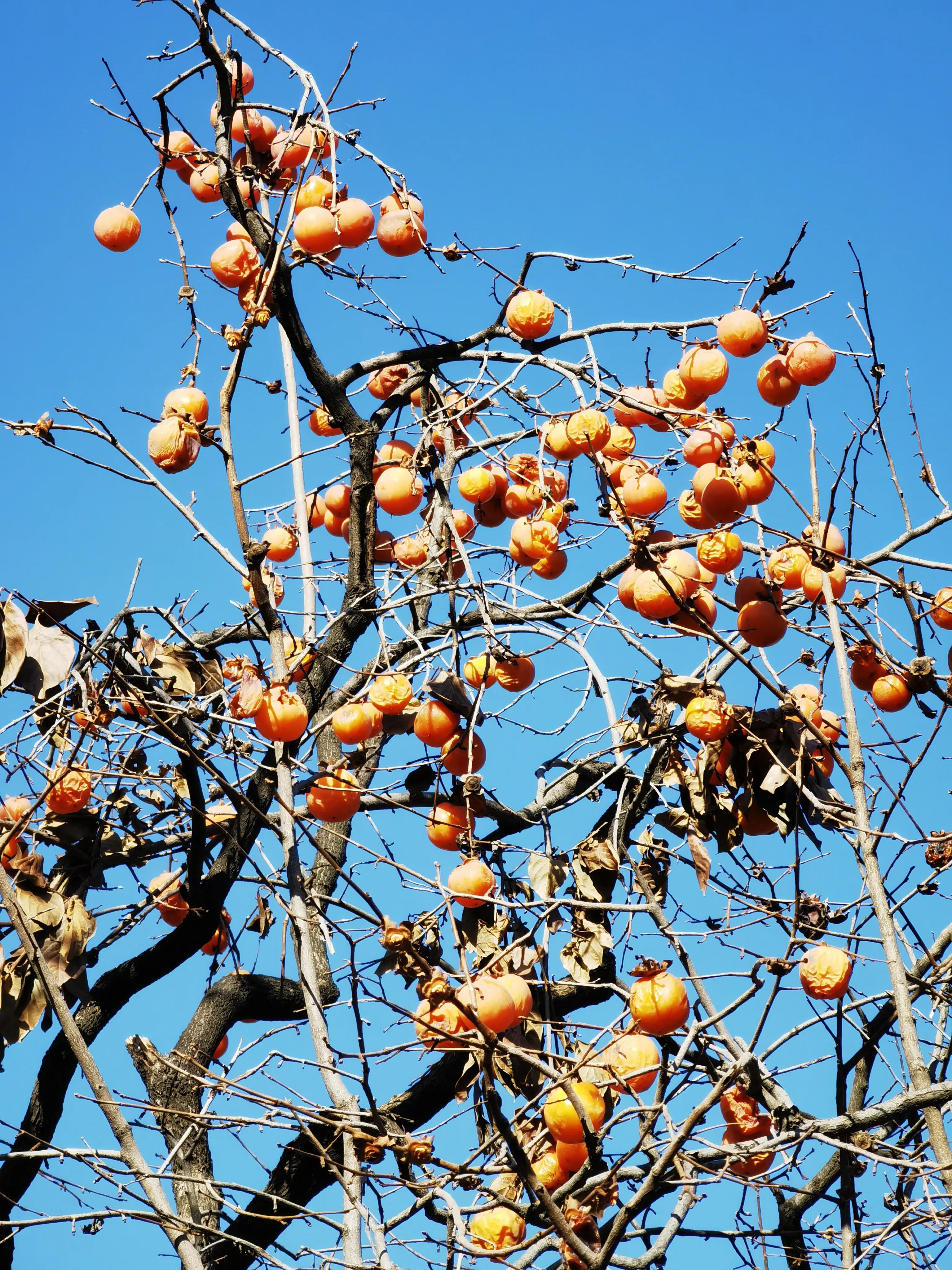 西安环山公路网红打卡,临潼环山路网红打卡地