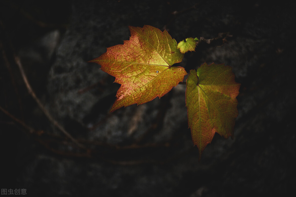 十二首非著名“雨”诗，人间的精灵，有多少浪漫和诗意，尽在其中