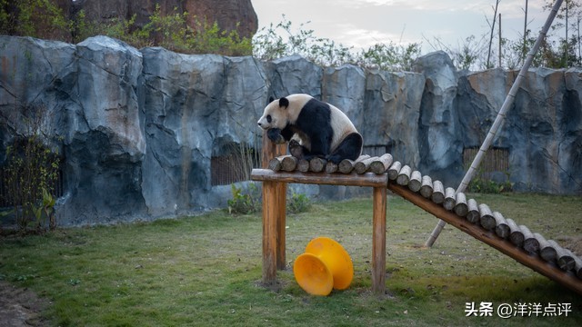 杭州野生动物世界旅游攻略,杭州野生动物世界门票优惠