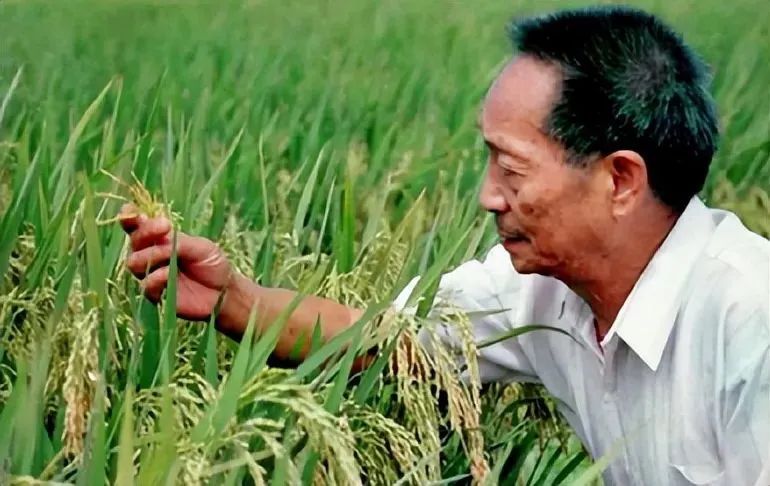 深度种草机,深度极寒种子