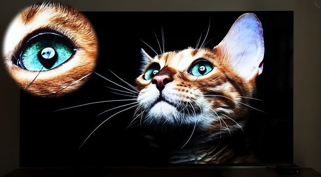 MiniLED电视销量排名第一！TCL这次618直接屠榜了