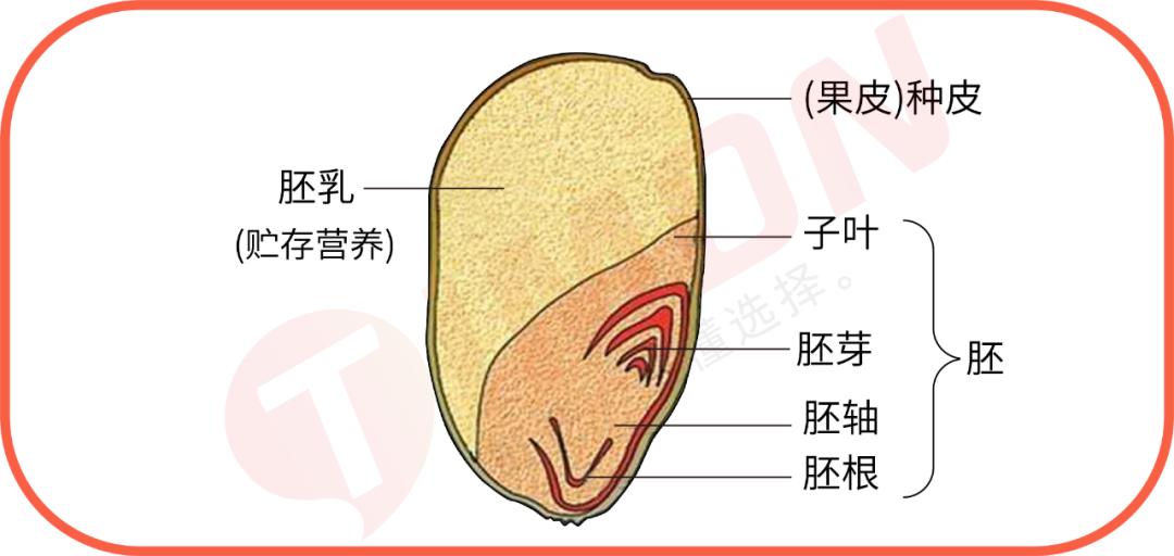 全麦粉热销排行榜,全麦粉100%全麦测评