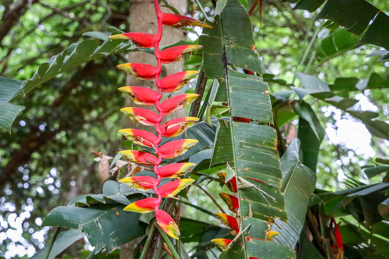 斯里兰卡旅游攻略必去景点,斯里兰卡旅游攻略最佳时间