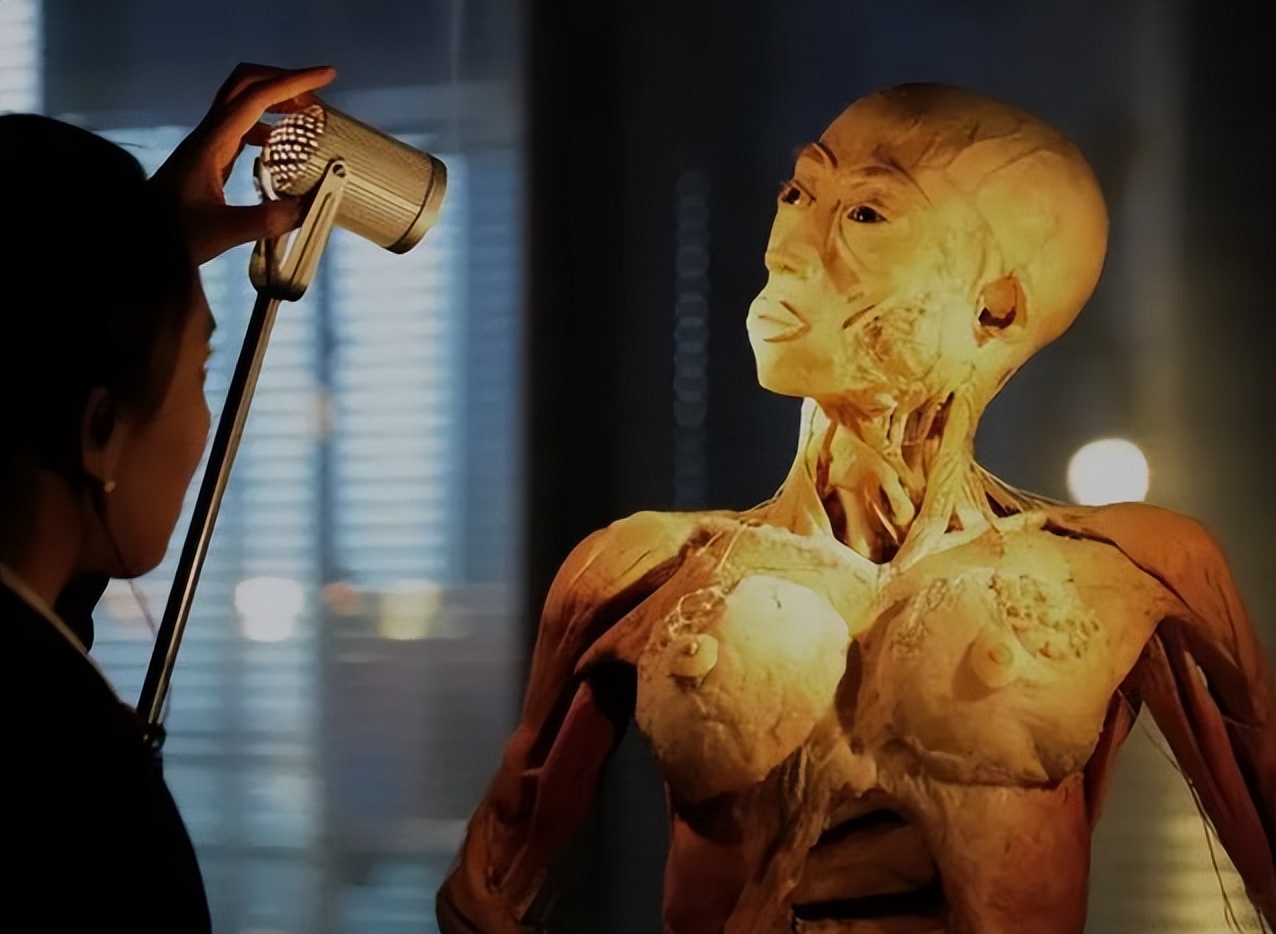 人体遗体捐献做标本有没有补偿,标本制作师工作