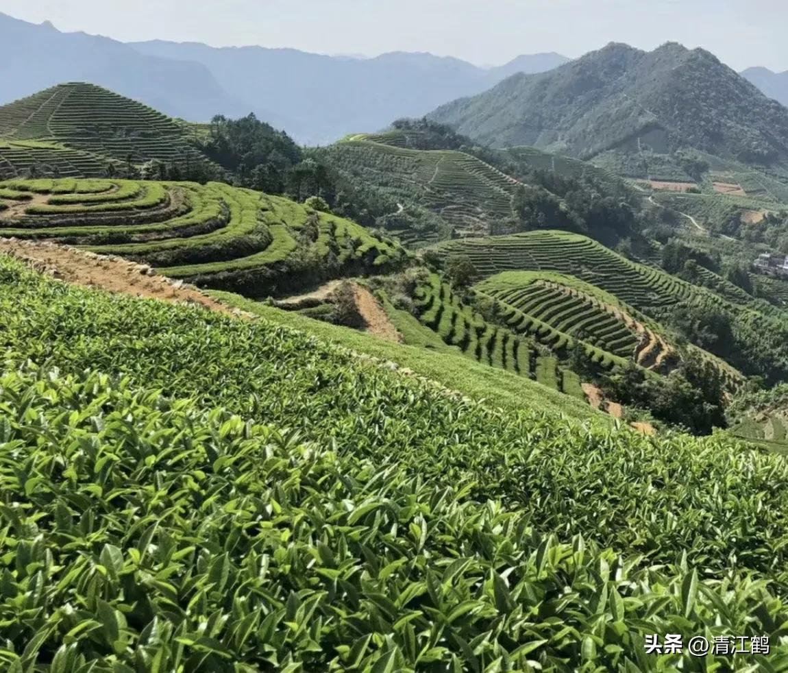 人称“蜂花醇”，有“9大增产用途”，对照使用，可提质增效