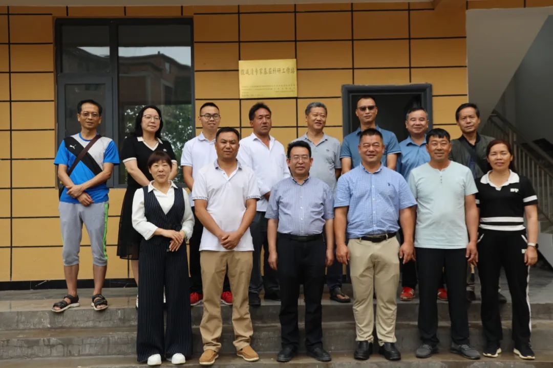 小魔芋成为村里致富新魔力,成县魔芋产业致富增收显魔力