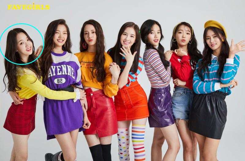 防弹成员出现在综艺节目,防弹七位成员同时喜欢一个人