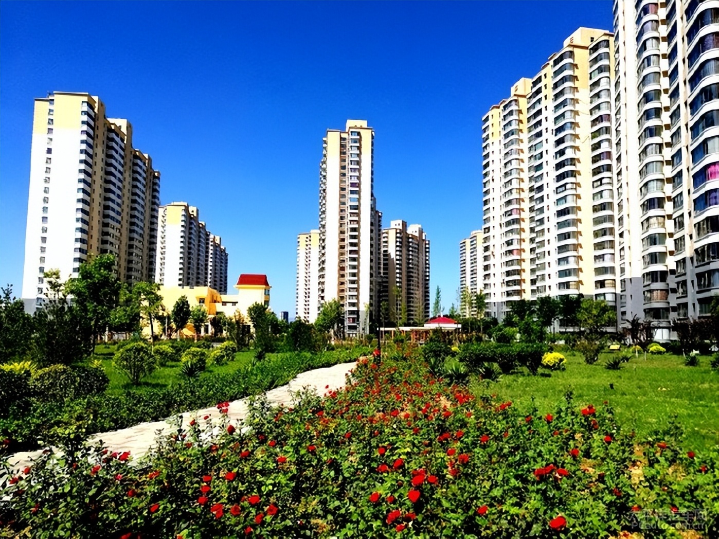 第一次举报，我竟然像做了贼一样惶恐不安