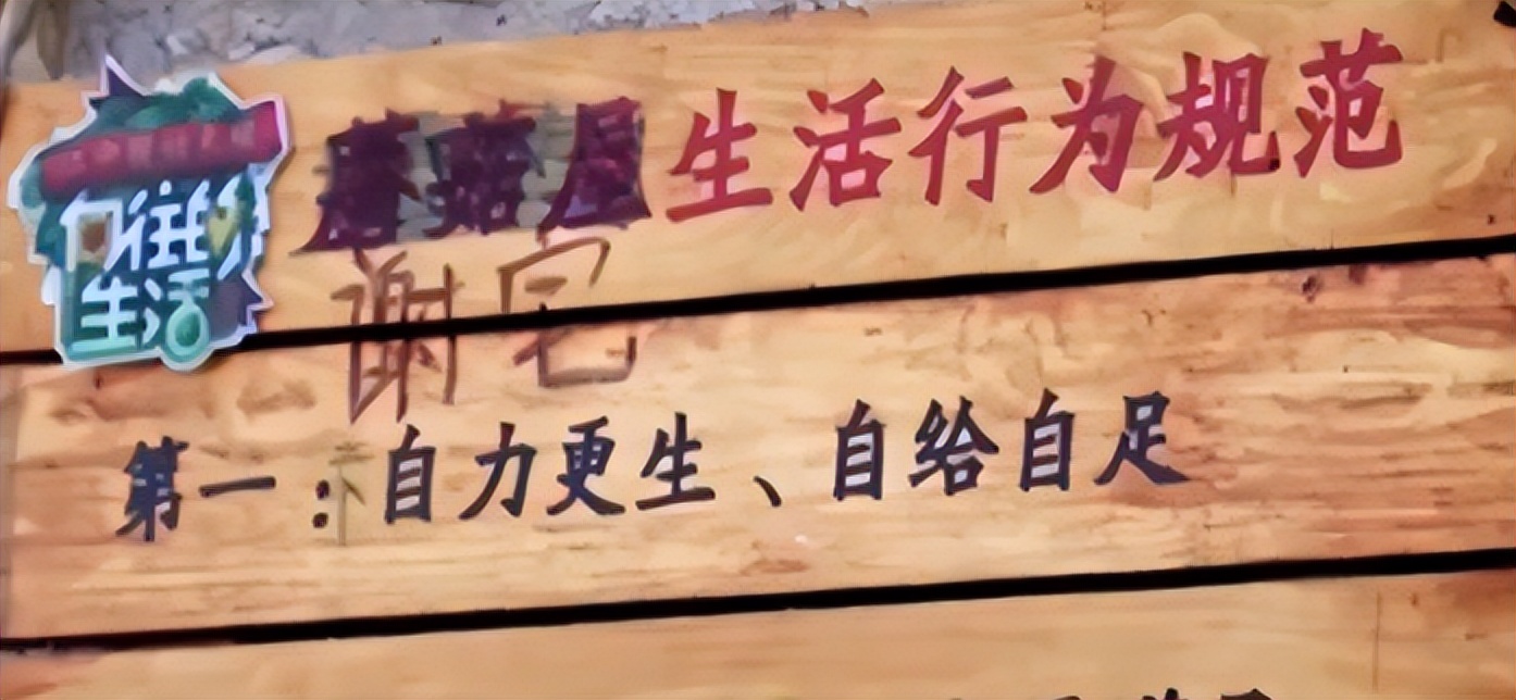 谢娜的一路走来不容易,谢娜是怎么走到现在的