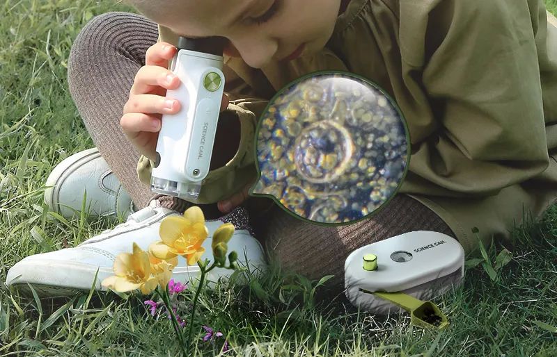 儿童探索放大镜多少倍合适,家长应不应该给孩子买显微镜