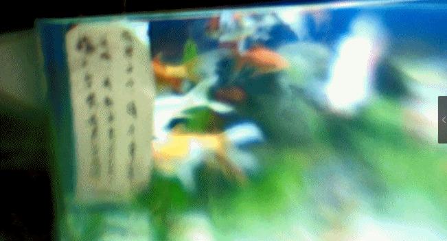 他和3天破3亿的《灌篮高手》一起封神，但神仙阵容也救不了他