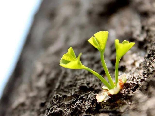 人生最值得的五大投资,人生最值得的五大投资图片