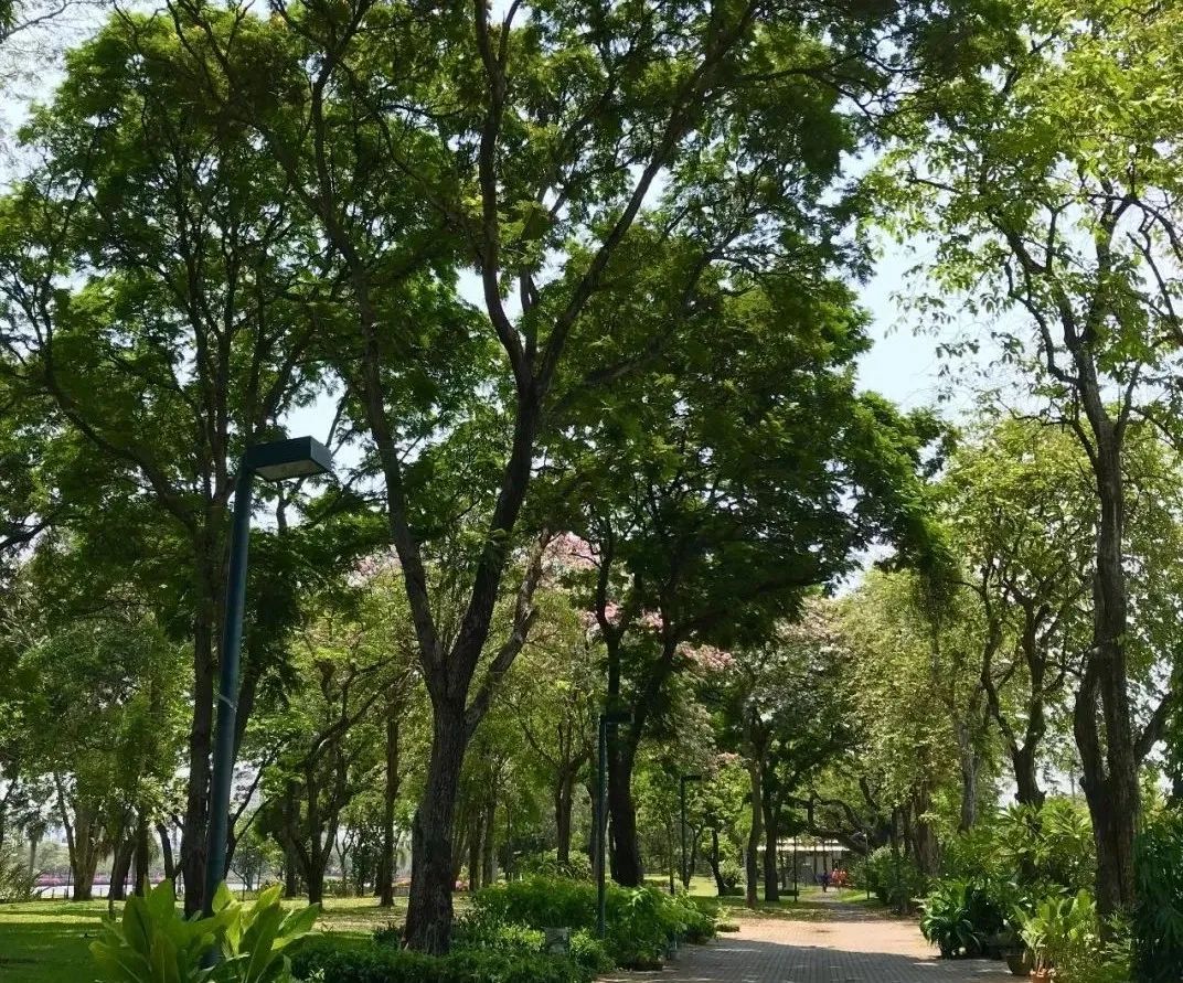 泰国曼谷公寓楼盘,曼谷市中心现房公寓