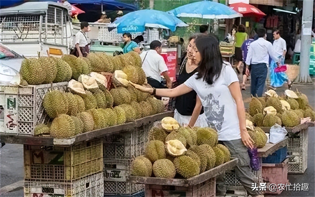 刚上市就暴跌,刚发售就崩盘
