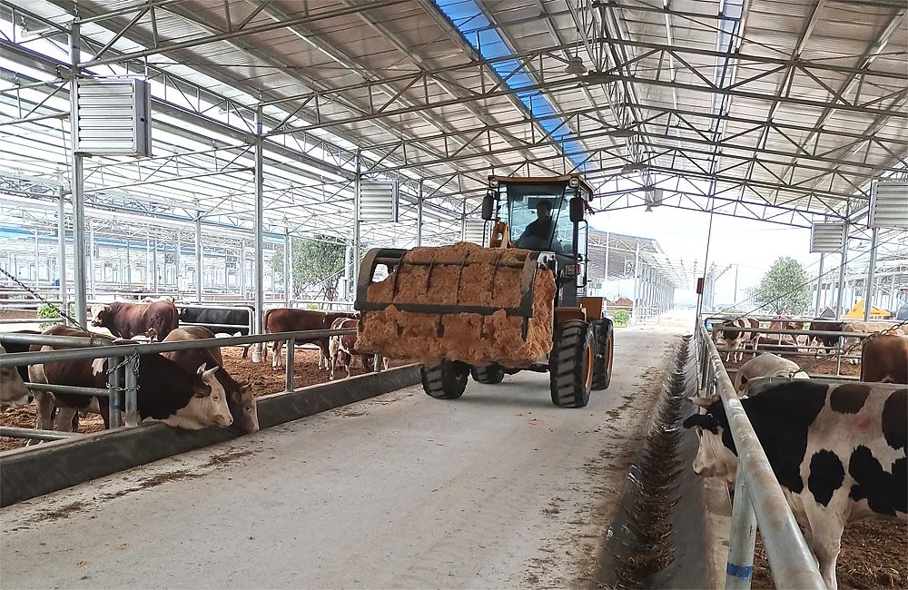 柳工装载机价格及型号报价表,柳工挖机质量