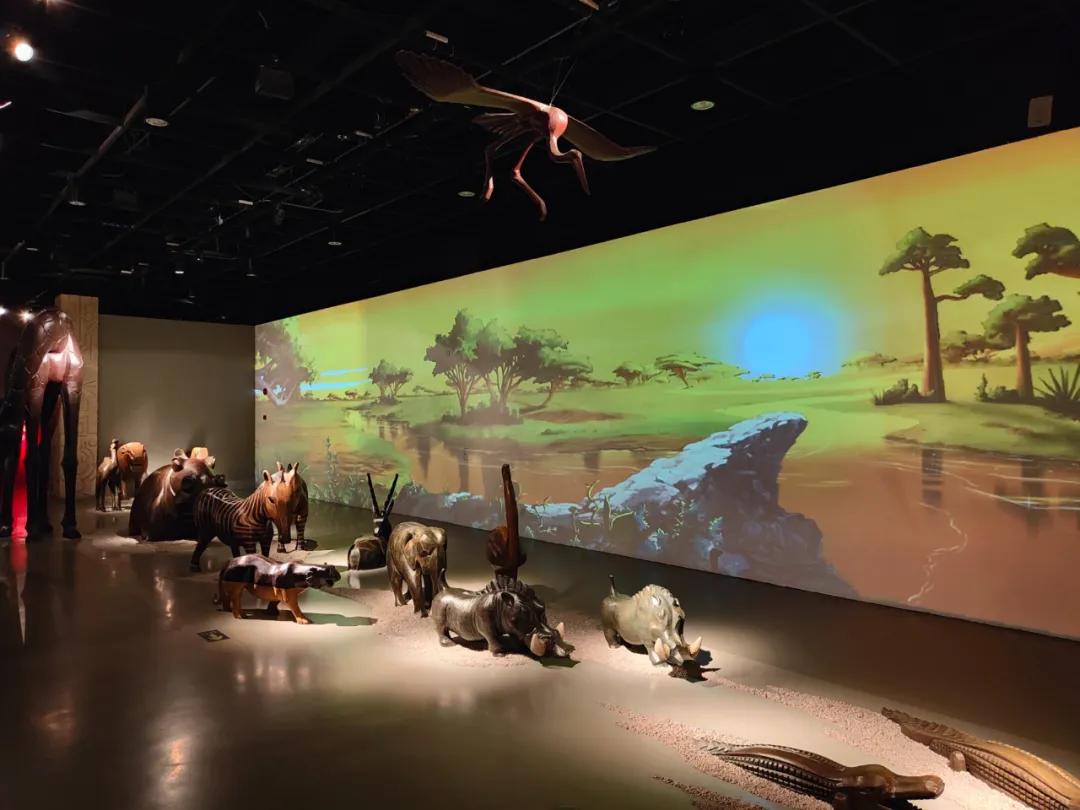 oppo主摄镜头焦段,oppo主摄参数