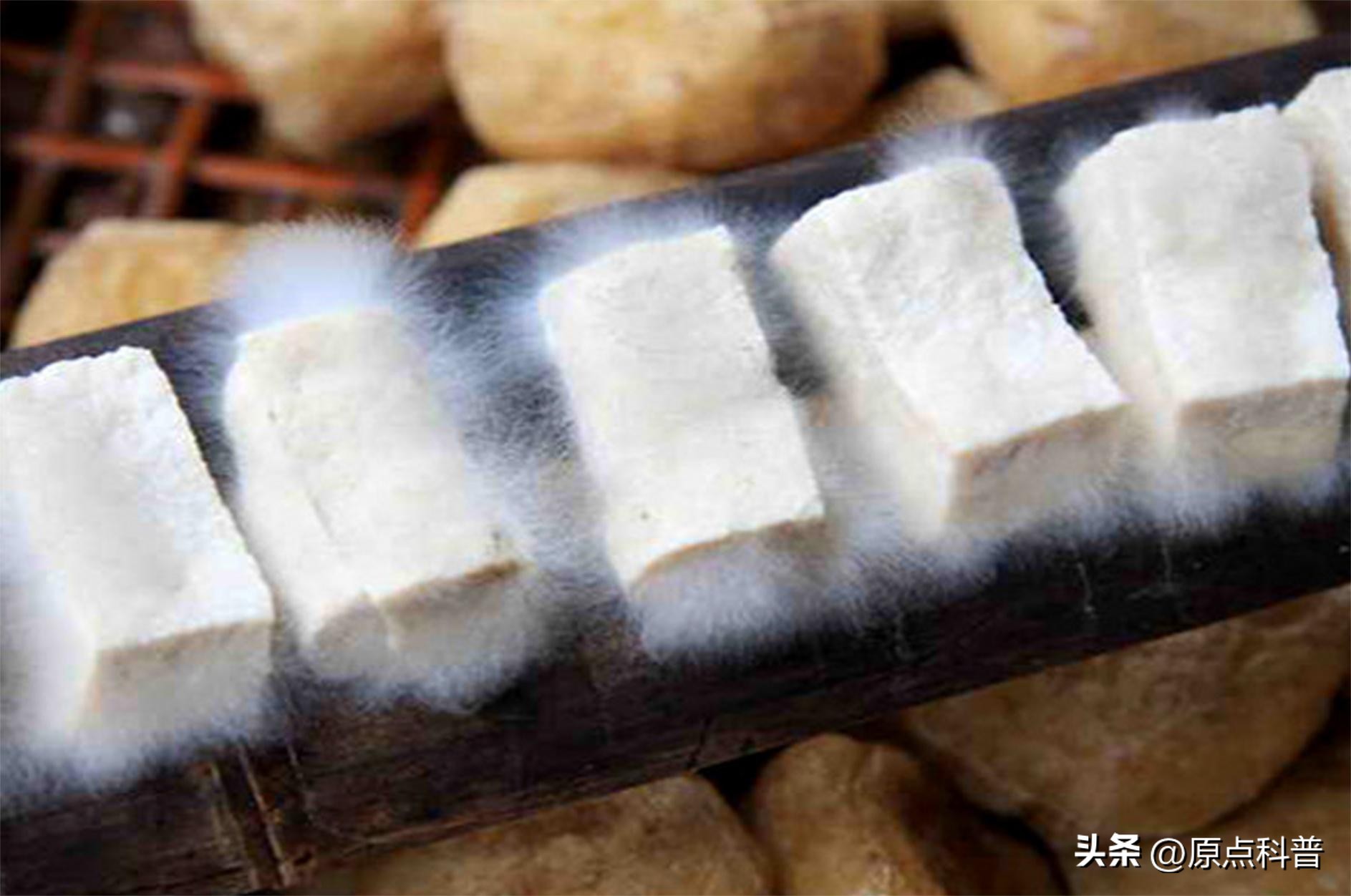 有哪些特色美食只有当地人才知道,全国各地的奇葩美食