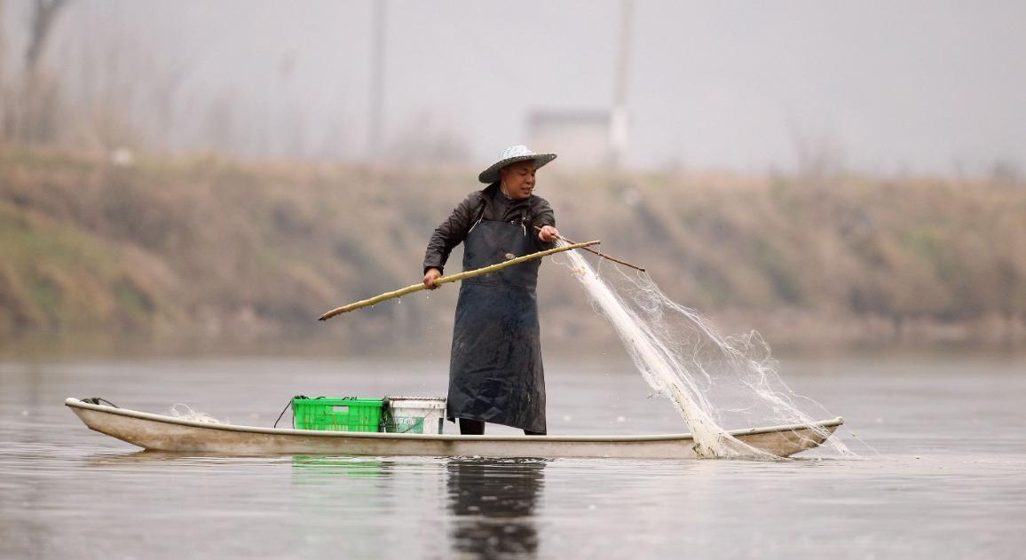 国际贸易环境及趋势,国际贸易与环境