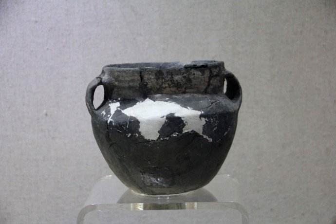 古代西医有多荒诞？华盛顿，莫扎特都死于放血疗法！