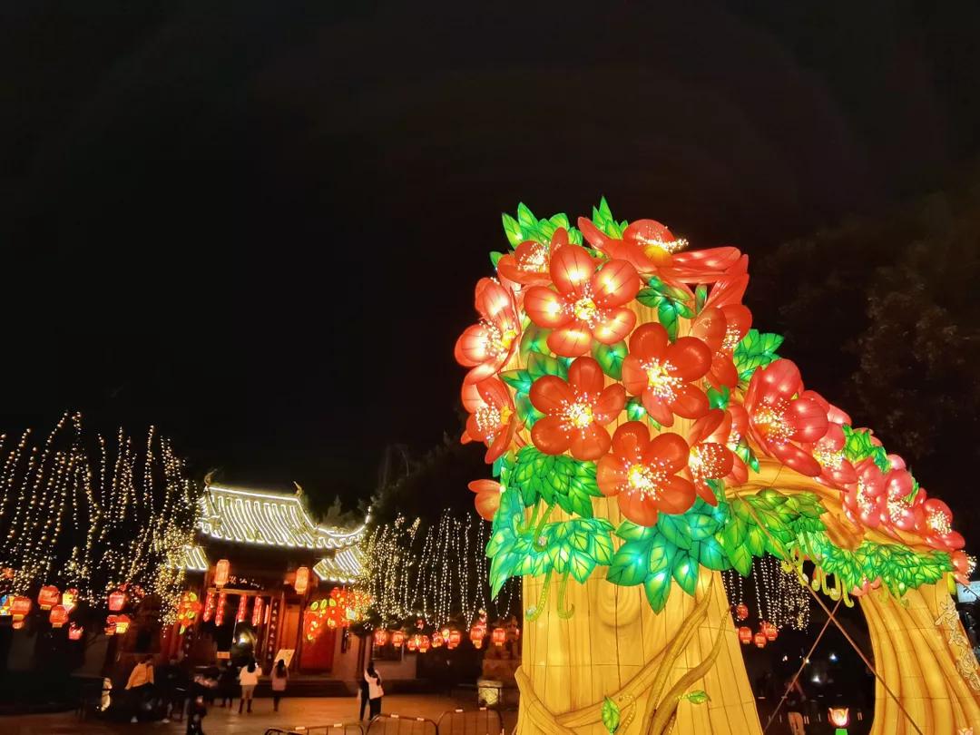 双流人的年味儿，从这些地方飘出来了