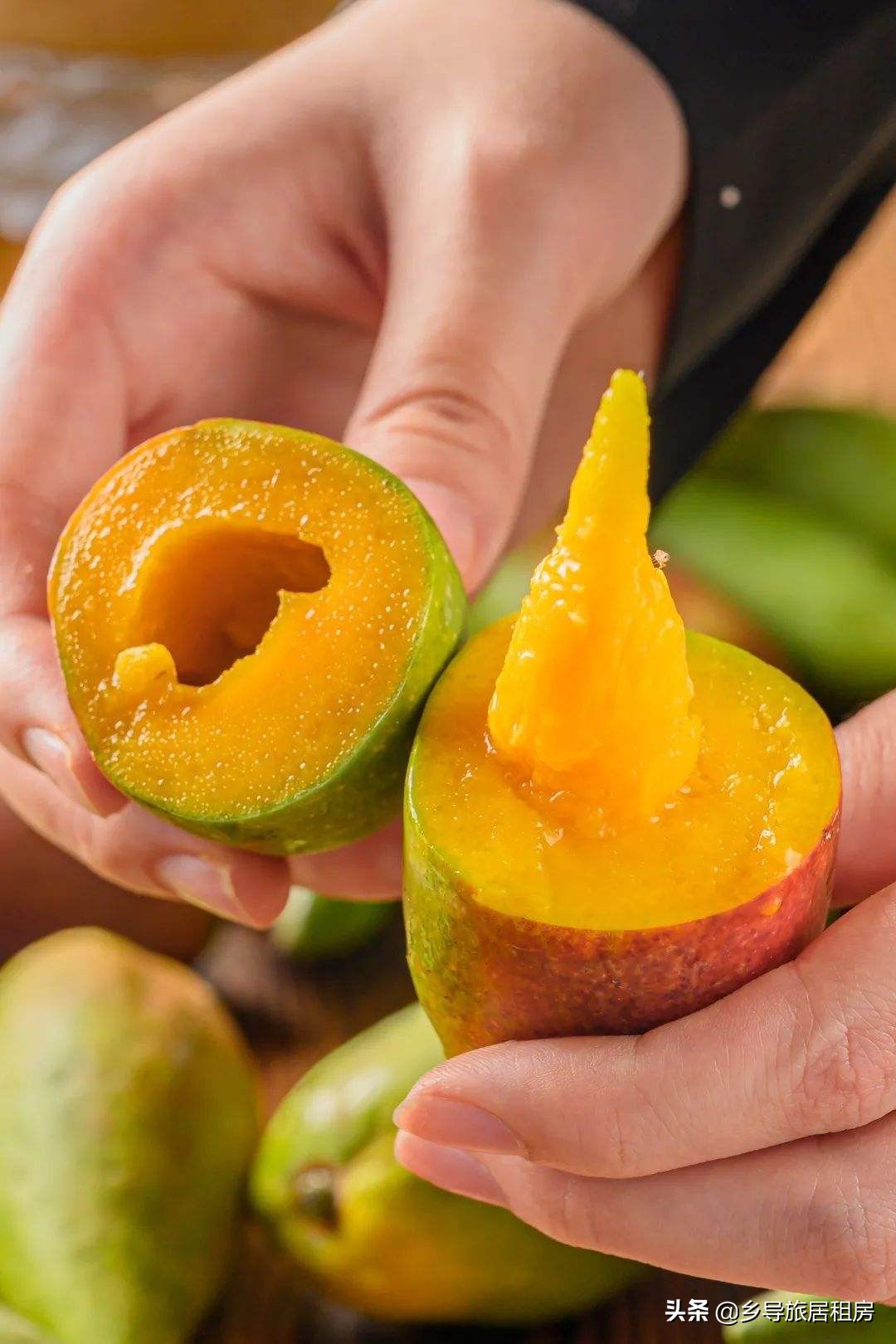 旅居三亚,三亚旅游买芒果