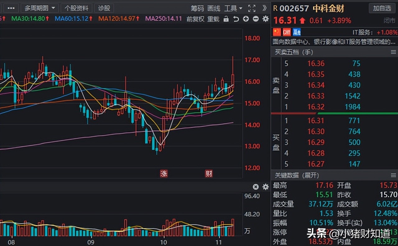 政策助力！虚拟数字人板块迎新“催化”，8家高增长股名单梳理