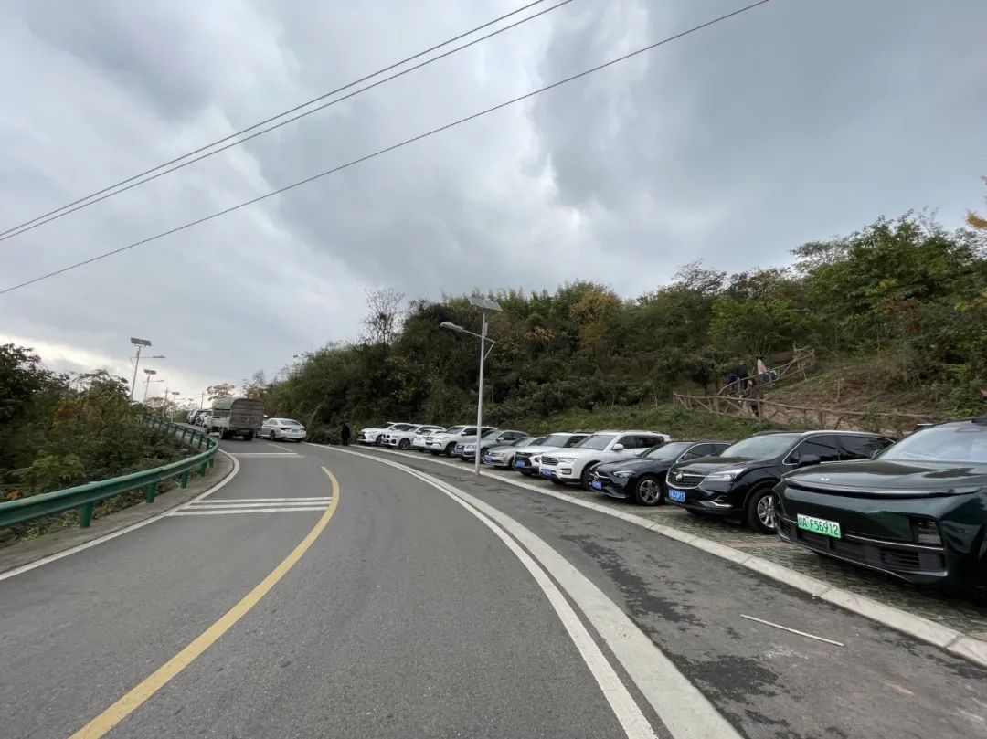 成都旅游豌豆尖,成都仰天窝近郊爬山推荐