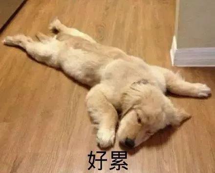 閫傚悎鏈嬪弸鍦堢殑娌欓洉鍙ュ瓙,閫傚悎鏈嬪弸鍦堢殑娌欓洉鏂囨