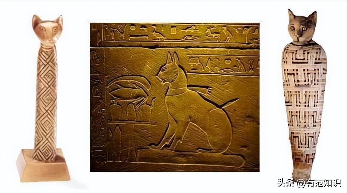 古埃及和猫的历史故事,古埃及人对猫的崇拜