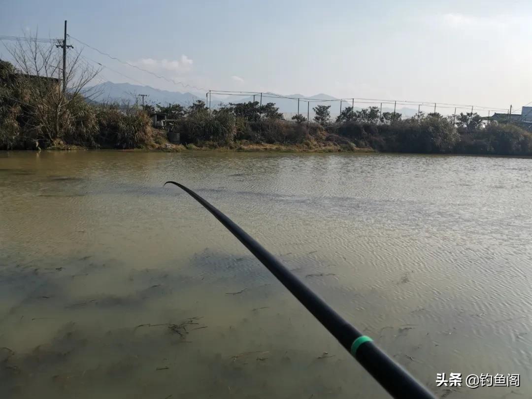 传统钓ak47用13米竿合适吗,水上貂钓竿ak47