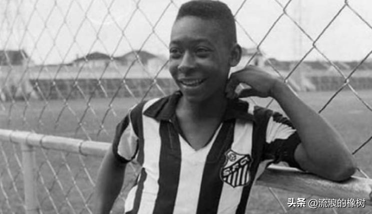 橡树|贝利，我们的足球的“暗号”