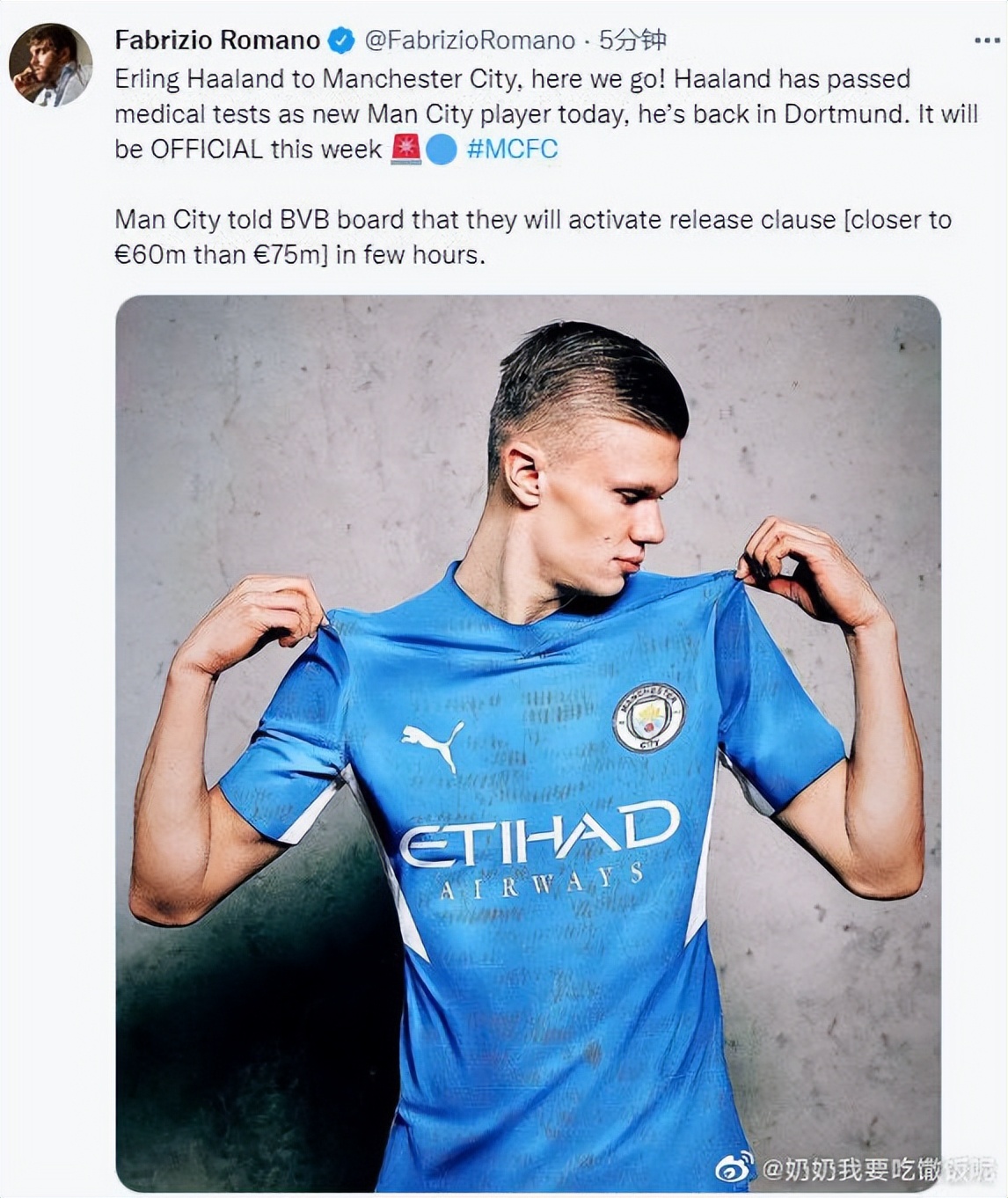 哈兰德最佳十个进球,哈兰德十大冷知识