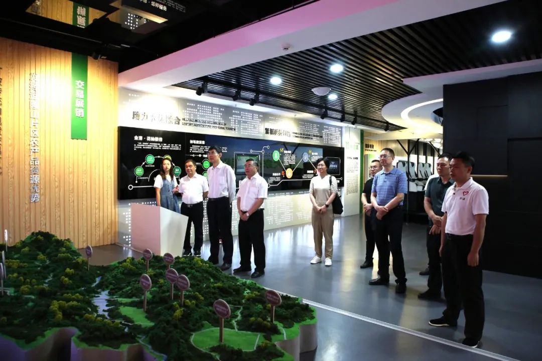 县人大调研乡村振兴集中推进区,县人大常委会视察乡村振兴工作