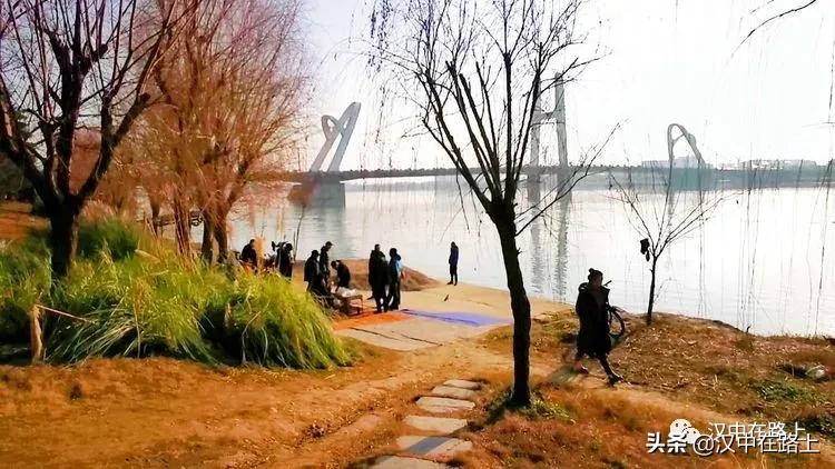 冬泳爱好者低温中畅游泳,冬泳爱好者激情畅游越冷越泳