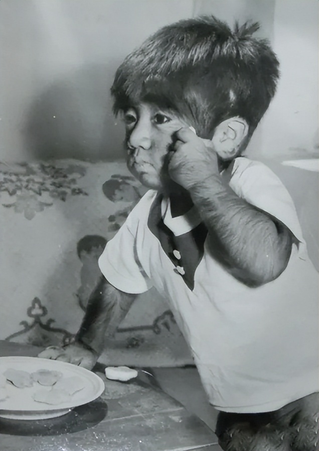 当年轰动一时的“毛孩”：42岁娶90后娇妻，生下一子未遗传长毛